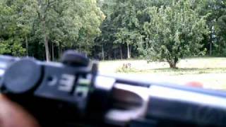 Gamo CFX Pellet Rifle [upl. by Ahsirpac161]