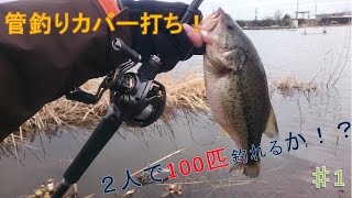 【茨城バス釣り】冬の管理釣り場で数釣り！二人で100本超えろ！♯1 [upl. by Ttej543]