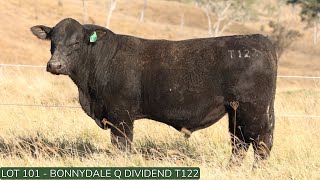 Lot101 Bonnydale Q T122 [upl. by Amri]