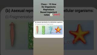 Class 10 How do organisms reproduce based important notes 📝 for all students part 17 [upl. by Ihpen650]