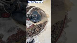 Rug Washing amp Scrubbing  FULL Video Out Now [upl. by Honna754]