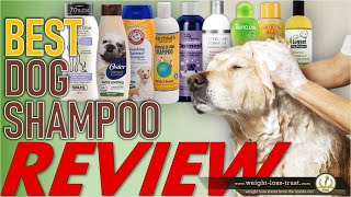 Top 10 Best Dog Shampoo amp Conditioners 2022 REVIEWS [upl. by Cavallaro]