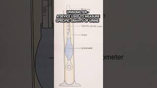 Urinometer l Urine Test urine medical pathology biochemistry lab shorts [upl. by Lennej292]