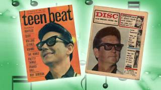 Roy Orbison  Its Over [upl. by Wittenburg]