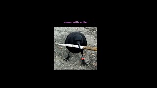 crow with knife 🔪  CAW CRONOS MEMECOIN  Epic [upl. by Odel601]