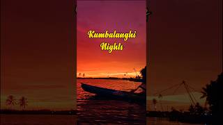 Kumbalangi Nights  Kayaking in Kerala  Stories by Umbrella Studios  Kerala Tourism [upl. by Dalila]