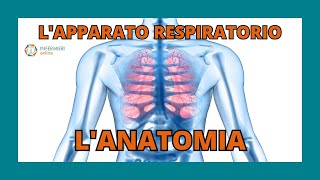 LAPPARATO RESPIRATORIO  LANATOMIA  INFERMIERI Online [upl. by Edric426]