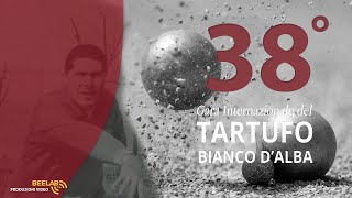 38 GARA INTERNAZIONALE TARTUFO BIANCO DALBA  BOCCE SPECIALITA VOLO [upl. by Aniale]