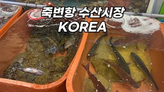 SEAFOOD MARKET KOREA 죽변항 수산시장 [upl. by Yetsirhc730]