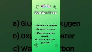 Quick GCSE Biology revision quiz  let us know how you did biodiversity gcsebiology biologyquiz [upl. by Aivyls]