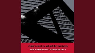 Live at Synthicide in Brooklyn NY April 6th 2017 [upl. by Aronle728]