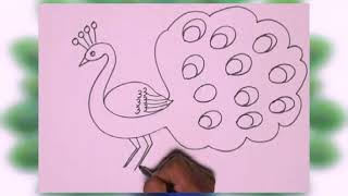 DIY  How to draw National birds  Lophophorus Danfe  Oriental Magpie  Peacock [upl. by Dowd]