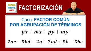 FACTOR COMÚN POR AGRUPACIÓN DE TÉRMINOS [upl. by Ennaeirb]