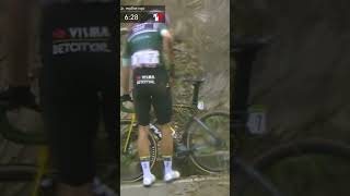 😱 Wout van Aert has crashed out of La Vuelta Ciclista a España 🤕 vuelta gcn [upl. by Urquhart460]