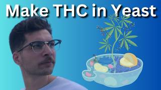 How to Make THC and CBD with Yeast  Journal Club [upl. by Enelrihs]