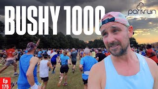 Chasing Twenty Attempt 5  Bushy Parkrun 1000  CHAOTIC Start [upl. by Ajaj]