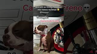 Cáncer de freno💔😭 450sr cfmoto humor meme brembo mexico nuevomodelo biker moto gopro [upl. by Ynattir]