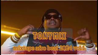 tonymix mixtape afro beat 2024 vol1 [upl. by Gentry]