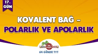 📌 17 GÜN  Kovalent Bağ  Polarlık ve Apolarlık 🤓 Kimya Adası 64 GÜNDE TYT TYTKimya [upl. by Enreval]