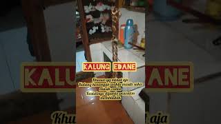 Edane isakuikie funny ngakak lucu comedy [upl. by Burgener652]