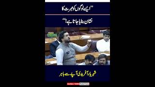 Shaheryar Afridi Blasting Speech In National Assembly  Imran Khan  PTI  Global Times Pakistan [upl. by Sarazen]