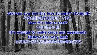 Can You Feel The Love Tonight with Lyrics 1994年奥斯卡最佳原创歌曲 中英对照歌词 [upl. by Meggi]