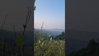 Beautiful Ranikhet View from chaukhutiya ❤️❤️❤️ travel nature ramgarh ranikhet naturelovers om [upl. by Goddord]