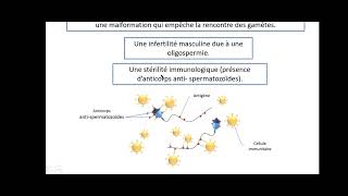 SVT  LA PROCREATION  EP4  la fivete  Bac math et sc [upl. by Jermain]