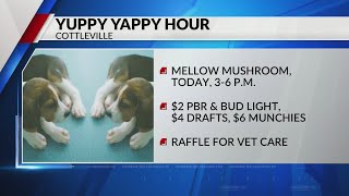 Mellow Mushroom in Cottleville Missouri hosting Yappy Yuppy Hour today [upl. by Nwahsear]