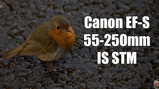 Canon EFS 55250mm f456 IS STM Sample Photos 4K [upl. by Ayamahs680]