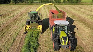 Silage Season  Ford 8210  John Deere 6910 Forager plus other tractors [upl. by Neerhtak]