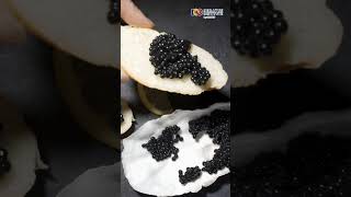 Fakta Caviar yang Jarang Diketahui Caviar sturgeon beluga osetra sevruga fakta viral shorts [upl. by Noruq]