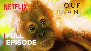 Our Planet  Jungles  FULL EPISODE  Netflix [upl. by Urdna53]