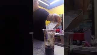 Bobo with fresh milk shortvideo bobarista bobadrink [upl. by Bently]