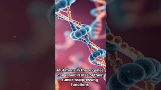 Oncogenes and tumor suppressor genes [upl. by Elvah]