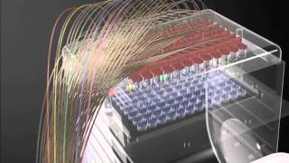 Free Flow Electrophoresis FFE how it works [upl. by Maag532]