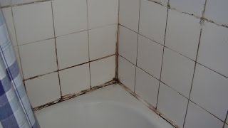 How to cure damp and mould in the bathroom [upl. by Naillil]