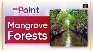 Mangroves Forests  To the Point  Drishti IAS English [upl. by Anyaj]