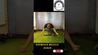 Rhomboid muscle rehab physiotherapist9536 viralvideo rhomboids [upl. by Sitto14]