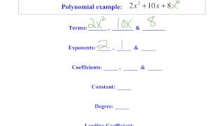 Introduction to Polynomial Functions [upl. by Elorac115]