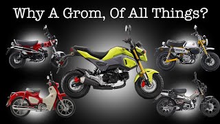 Why a Honda Grom MSX 125 Of All Things Dick Rides His New Motorcycle For The First Time [upl. by Sarad661]