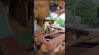 Meranti Wood bandsaw sawmill sawmillindonesia [upl. by Fidela183]