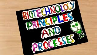 Class 12  biology project  Biotechnology principles and processes art integrated project [upl. by Derr262]