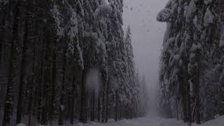 Beautiful Relaxing Heavy Snowfall 3 Hour  Calm Breeze and Falling Snowflakes 23 [upl. by Notnert]