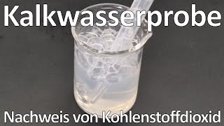 Kalkwasserprobe zum Nachweis von Kohlenstoffdioxid und gelöstem Calciumhydroxid  Chemie Schule [upl. by Camfort]