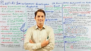 Plastids class 11ChloroplastChromoplastLeucoplastPlastids and its types Hindi UrduSir Suresh [upl. by Ingram517]