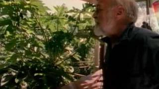 Global Gardener  Permaculture with Bill Mollison Bullfrog Films clip [upl. by Willetta346]