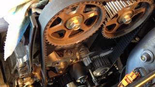 timing belt walking and settling h22a4 [upl. by Nylarahs]