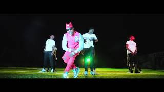 Go low by Flowking Stone OFFICIAL VIDEO [upl. by Enyrehtak]