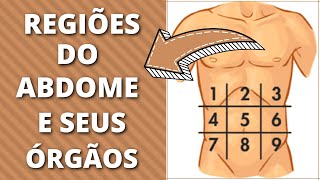 Aprenda as Regiões do Abdome e Seus Órgãos [upl. by Hilario]